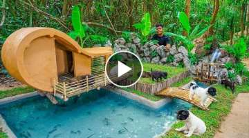 Rescue Abandoned Puppies Building Dog House Villa And Fish Pond For Catfish