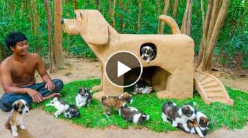 Build Mud Dog House For Rescued Puppies And Craft House