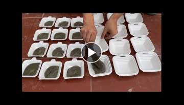 Excellent Cement Craft tips How to make pots 