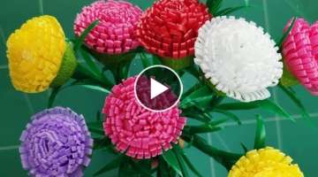 How To Make Colorful Portulaca Grandiflora Flowers