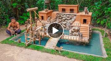 Collect Cats Under Raining Storm Build House for Cat Shelter